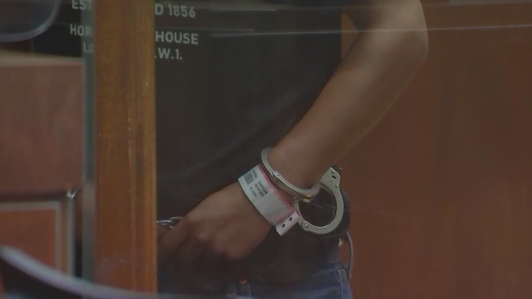 East LA serial sex assault suspect in court